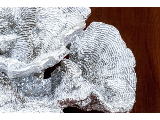 Chic Decor Lot Including Boxes, Shells, And Faux Coral