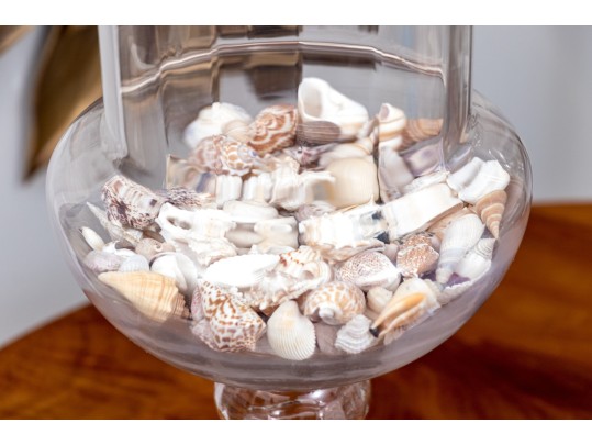 Awesome Large Pair Of Glass Footed Urns Filled With Seashells