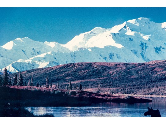 Thomas D. Mangelsen (American, B. 1946) 