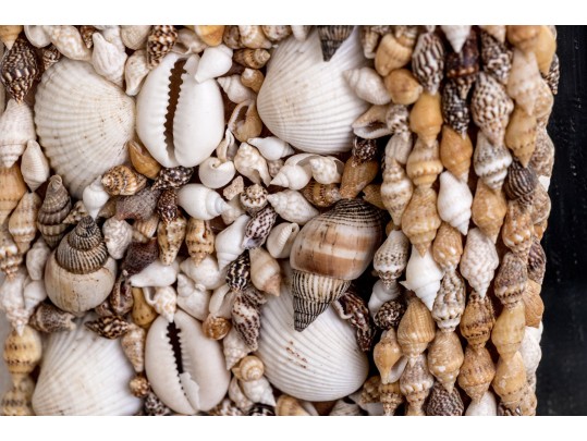 Decorative Shell Encrusted Framed Mirror