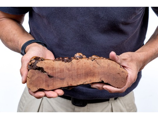 Burlwood And Glass Dolphin Sculpture