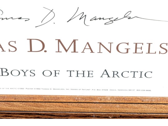 Advertisement Print For Thomas D. Mangelsen's 