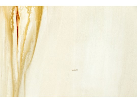 Sarah Stockstill (American, B. 1972) 