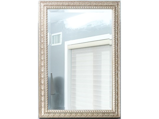 Lavish Silvered And Carved Gesso And Wood Mirror