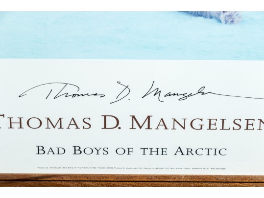 Advertisement Print For Thomas D. Mangelsen's 