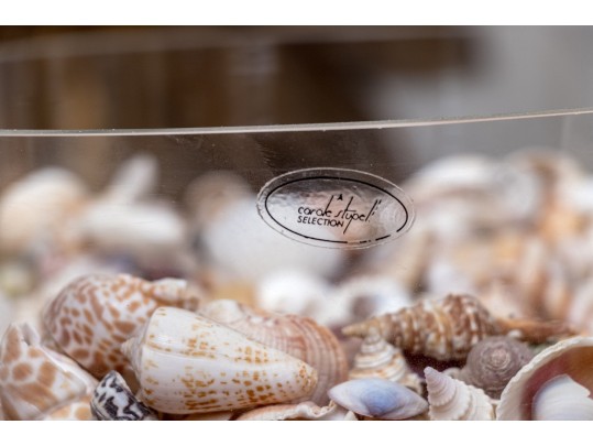 Stylish Carole Stupell Glass Center Bowl With Seashells