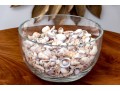 Stylish Carole Stupell Glass Center Bowl With Seashells