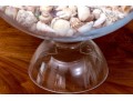 Stylish Glass Pedestal Center Bowl With Seashells
