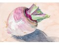 Set Of Six Burnell Signed Watercolor Paintings Of Vegetables, 2011