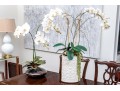 Set Of Two Lavish Faux Orchids In Decorative Ceramic Vases