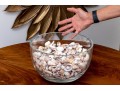 Stylish Carole Stupell Glass Center Bowl With Seashells