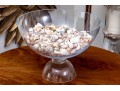 Stylish Glass Pedestal Center Bowl With Seashells