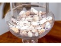 Awesome Large Pair Of Glass Footed Urns Filled With Seashells