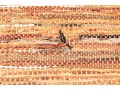 Leather And Fabric Chindi Dhurrie Accent Carpet, 5'-9 1/2 X 3'-8