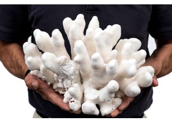 Black Rock Galleries