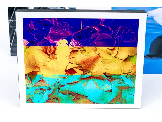 Michael Chait (American, Westport CT, 20th-21st C.) Four Various Mounted Color Photographs