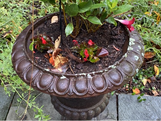 A Fine Pair Of Classical Cast Iron Campana Footed Urn Planters