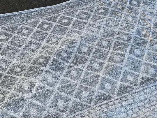 Room Size 100% Propylene Carpet By Surya Elaziz Collection   10' X 14'