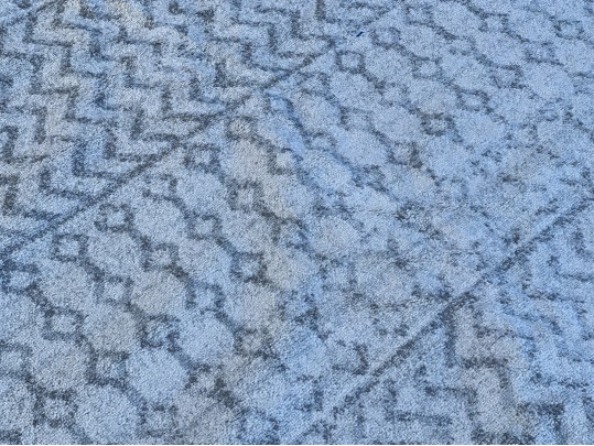 Room Size 100% Propylene Carpet By Surya Elaziz Collection   10' X 14'