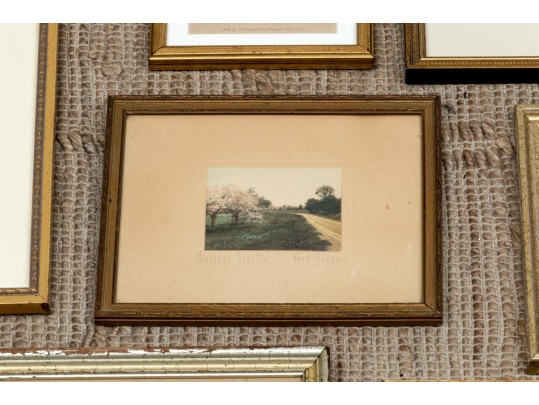 Assorted Collection Of Twelve Framed Decorative Prints