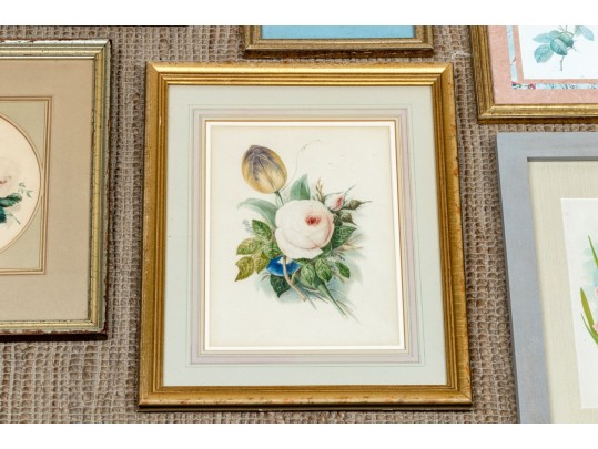 Assorted Collection Of Twelve Framed Decorative Prints