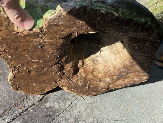 Cast Stone Garden Statue Of A Frog With Red Glass Eyes