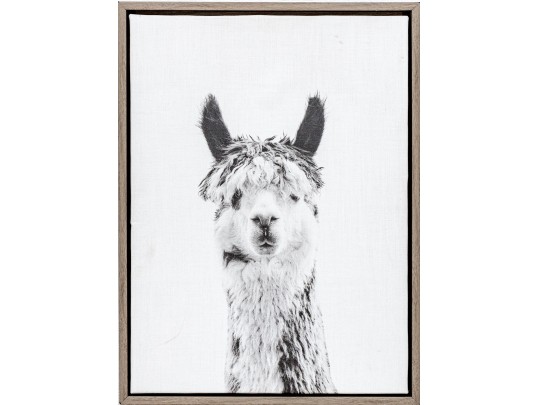 Awesome Giclee On Canvas, Llama