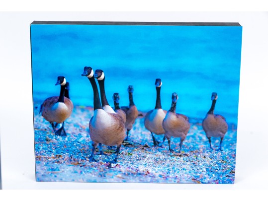 Michael Chait (American, Westport CT, 20th-21st C.) Four Varied Mounted Color Photographs