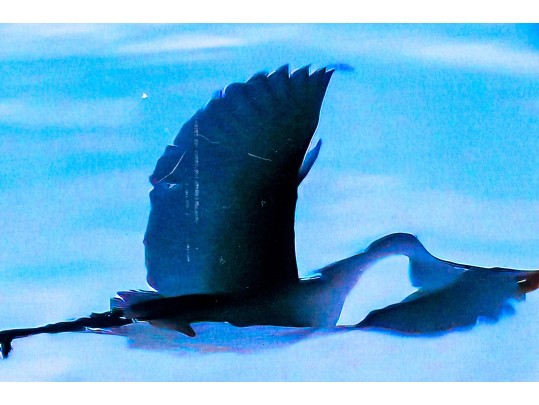 Michael Chait (American, Westport CT, 20th-21st C.) Four Various Mounted Color Photographs