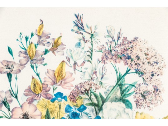 Framed Color Botanical Print After A French 1851 Original