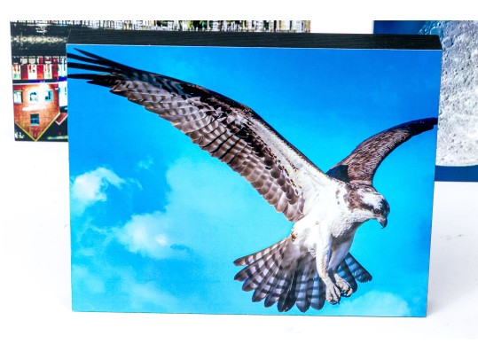 Michael Chait (American, Westport CT, 20th-21st C.) Four Varied Mounted Color Photographs