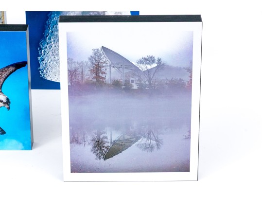 Michael Chait (American, Westport CT, 20th-21st C.) Four Varied Mounted Color Photographs