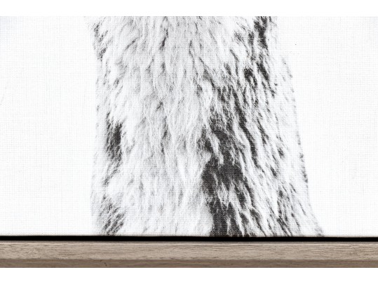 Awesome Giclee On Canvas, Llama