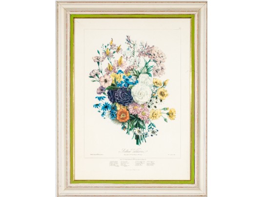 Framed Color Botanical Print After A French 1851 Original