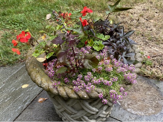 Cast Cement Basket Weave Pattern Planter 