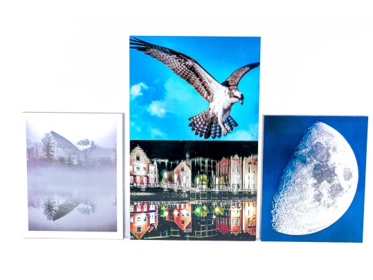 Michael Chait (American, Westport CT, 20th-21st C.) Four Varied Mounted Color Photographs