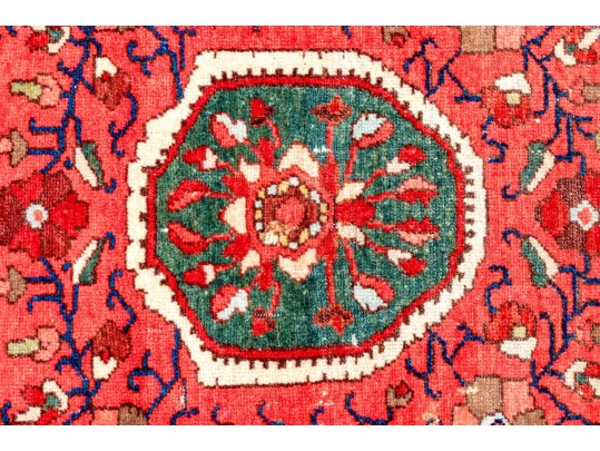 Hand-Knotted Wool Carpet, 6'-5