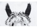 Awesome Giclee On Canvas, Llama