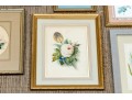 Assorted Collection Of Twelve Framed Decorative Prints