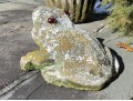 Cast Stone Garden Statue Of A Frog With Red Glass Eyes