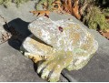 Cast Stone Garden Statue Of A Frog With Red Glass Eyes