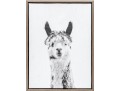 Awesome Giclee On Canvas, Llama