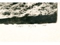 Limited Edition Lithograph 