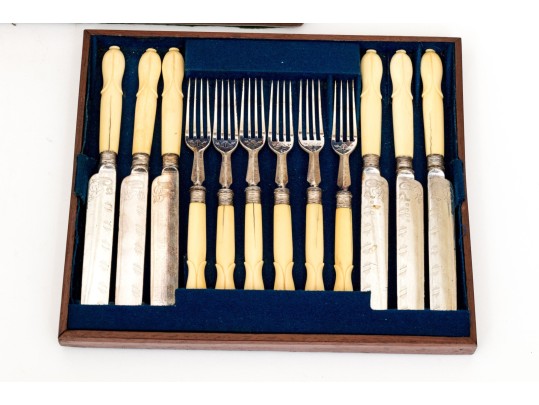 Victorian Celluloid Handled Silver Plated Fish Flatware With Case