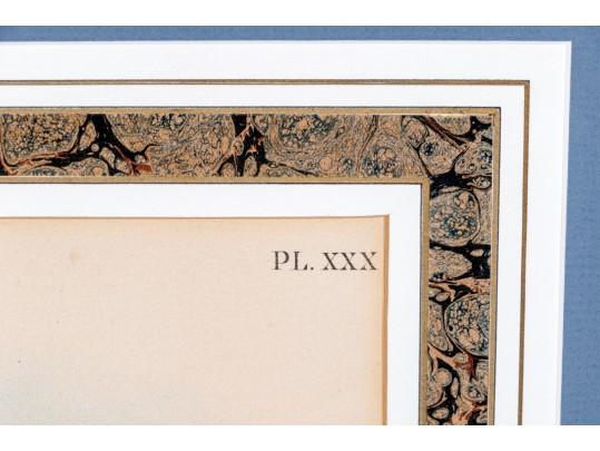 Theodore Jasper (American, 1814-1897) Hand-Colored Prints Of Hawks