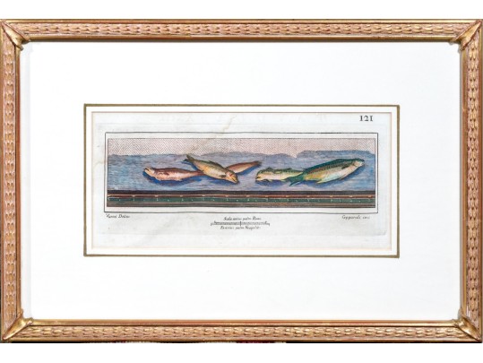 Francesco Cepparoli After Niccolò Vanni Print Of Fish