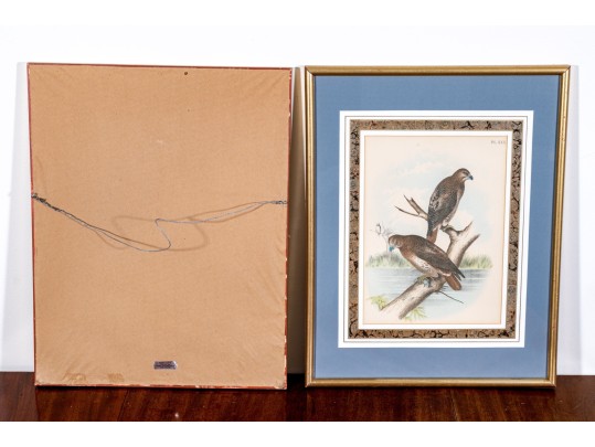 Theodore Jasper (American, 1814-1897) Hand-Colored Prints Of Hawks