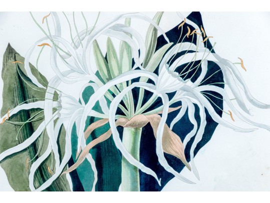 R. Havell After Priscilla Susan Bury 