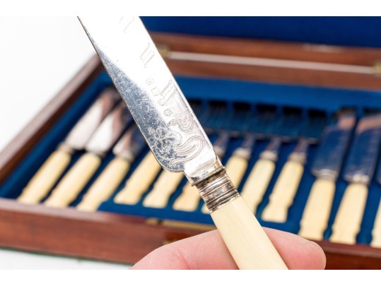 Victorian Celluloid Handled Silver Plated Fish Flatware With Case