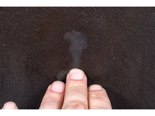 Oil On Canvas Portrait Of A Gentleman